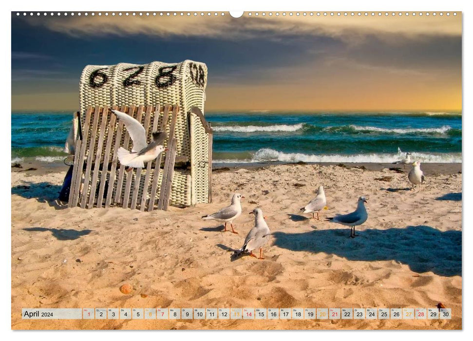 Beach fun - on the North Sea and Baltic Sea (CALVENDO Premium Wall Calendar 2024) 