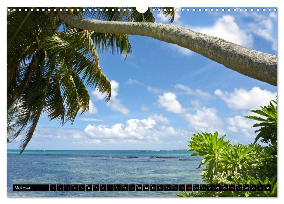 Maurice - île de rêve dans l'océan Indien (calendrier mural CALVENDO 2024) 