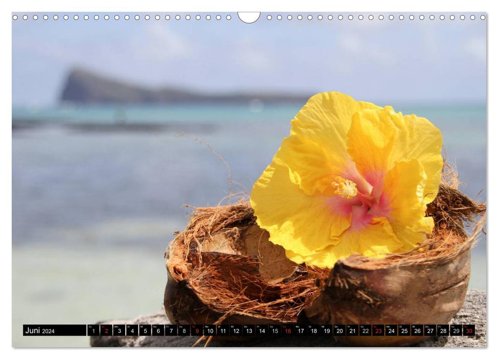 Mauritius - dream island in the Indian Ocean (CALVENDO wall calendar 2024) 