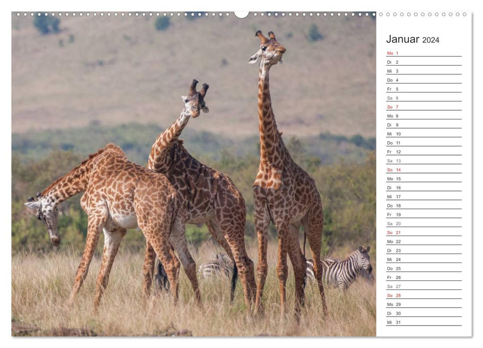 Emotional moments: Africa Wildlife. Part 3. (CALVENDO wall calendar 2024) 