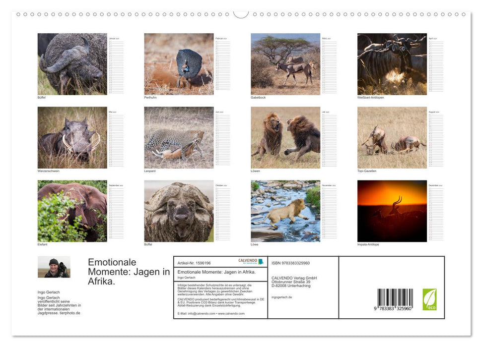 Emotionale Momente: Jagen in Afrika. (CALVENDO Premium Wandkalender 2024)