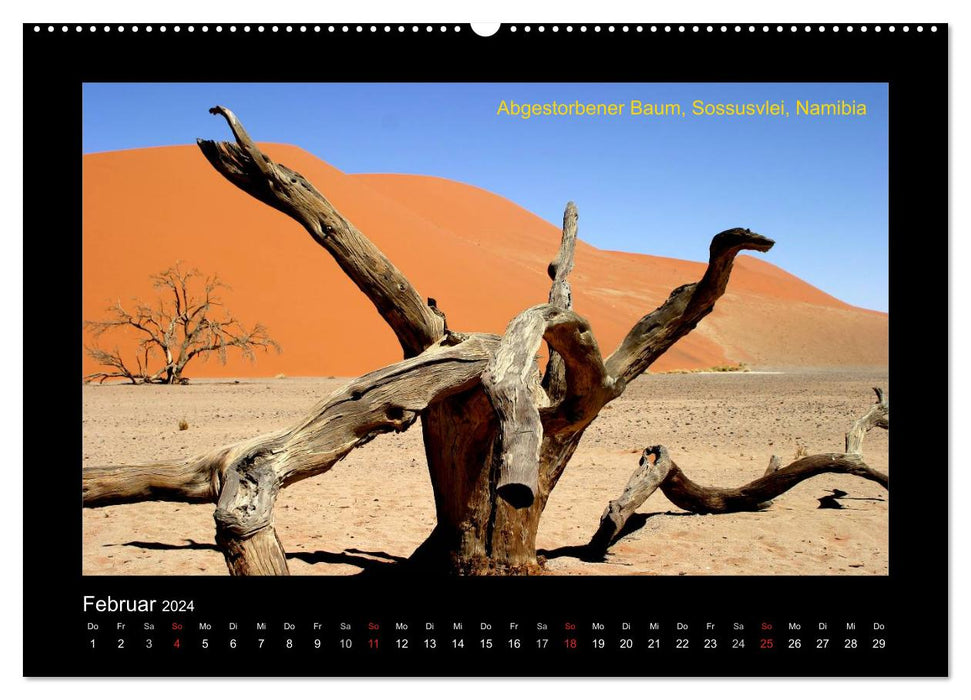 AFRICA in the south (CALVENDO wall calendar 2024) 