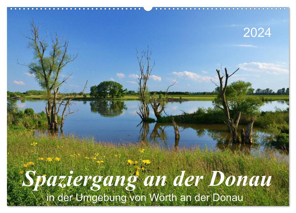 Spaziergang an der Donau (CALVENDO Wandkalender 2024)