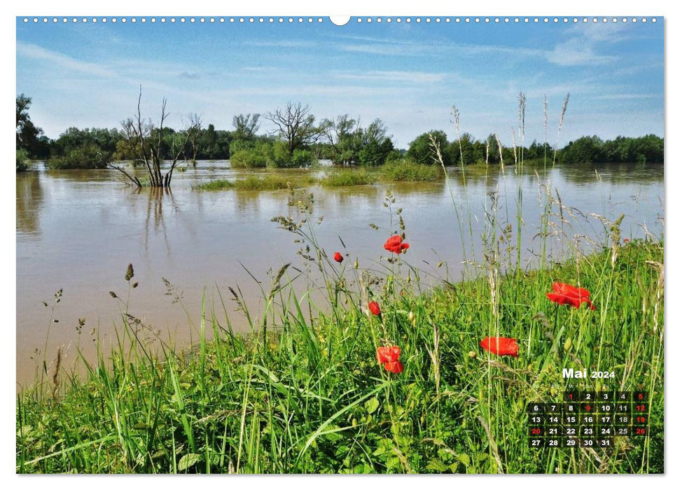 Spaziergang an der Donau (CALVENDO Wandkalender 2024)