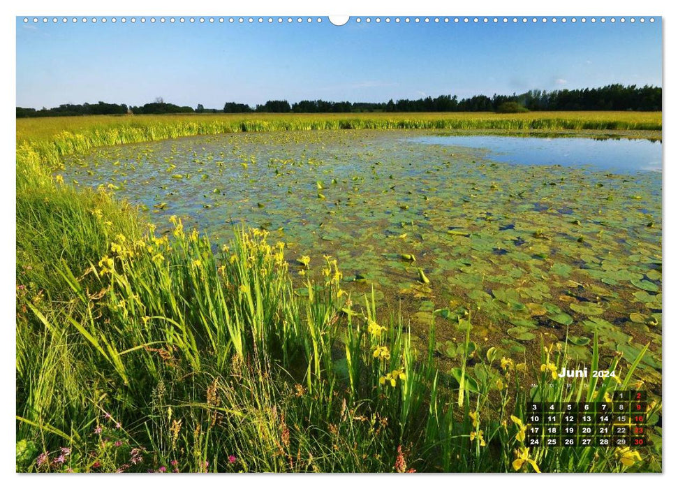 Walk on the Danube (CALVENDO wall calendar 2024) 