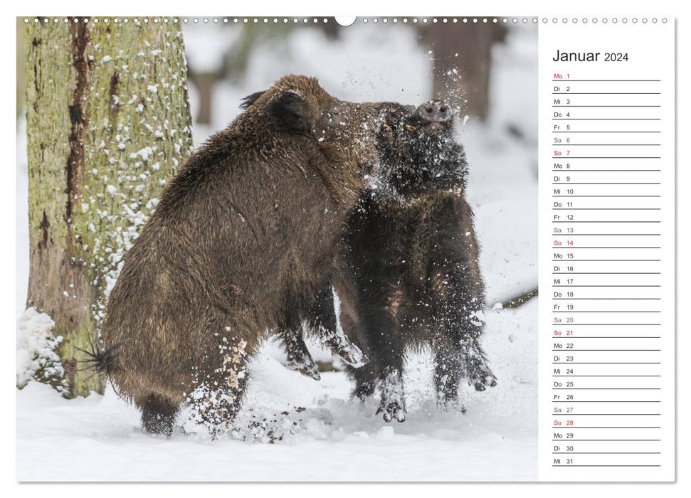 Emotional moments: game and hunting. (CALVENDO wall calendar 2024) 