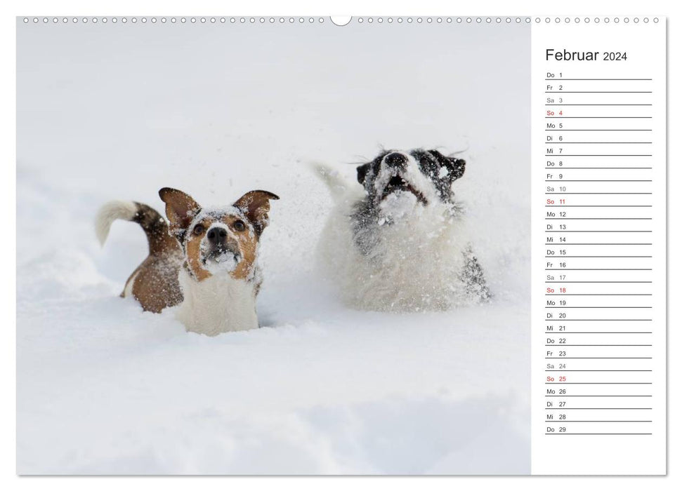 Emotionale Momente: Wild und Jagd. (CALVENDO Wandkalender 2024)