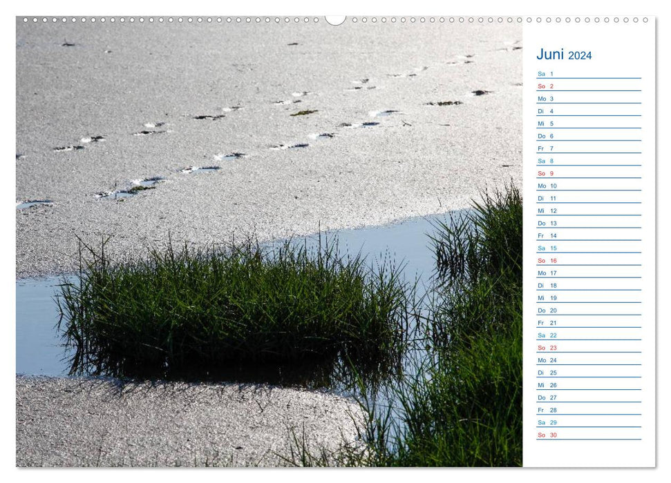 Wadden Sea (CALVENDO Premium Wall Calendar 2024) 