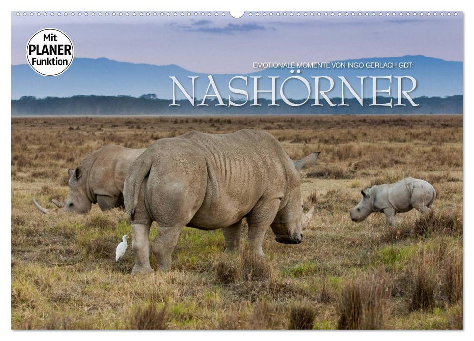 Emotional moments: rhinos (CALVENDO wall calendar 2024) 