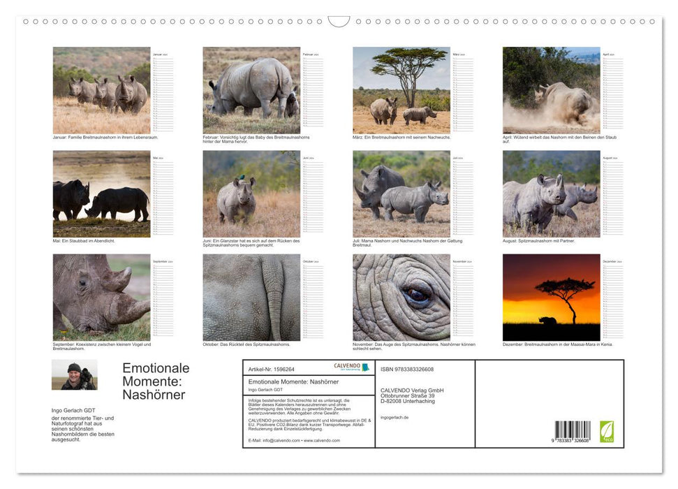 Moments d'émotion : rhinocéros (calendrier mural CALVENDO 2024) 