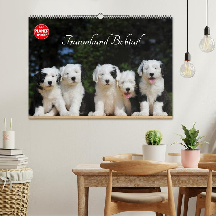 Dream dog Bobtail (CALVENDO wall calendar 2024) 