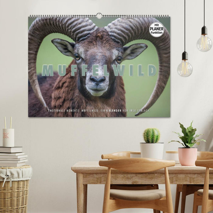 Emotional moments: mouflon. (CALVENDO wall calendar 2024) 