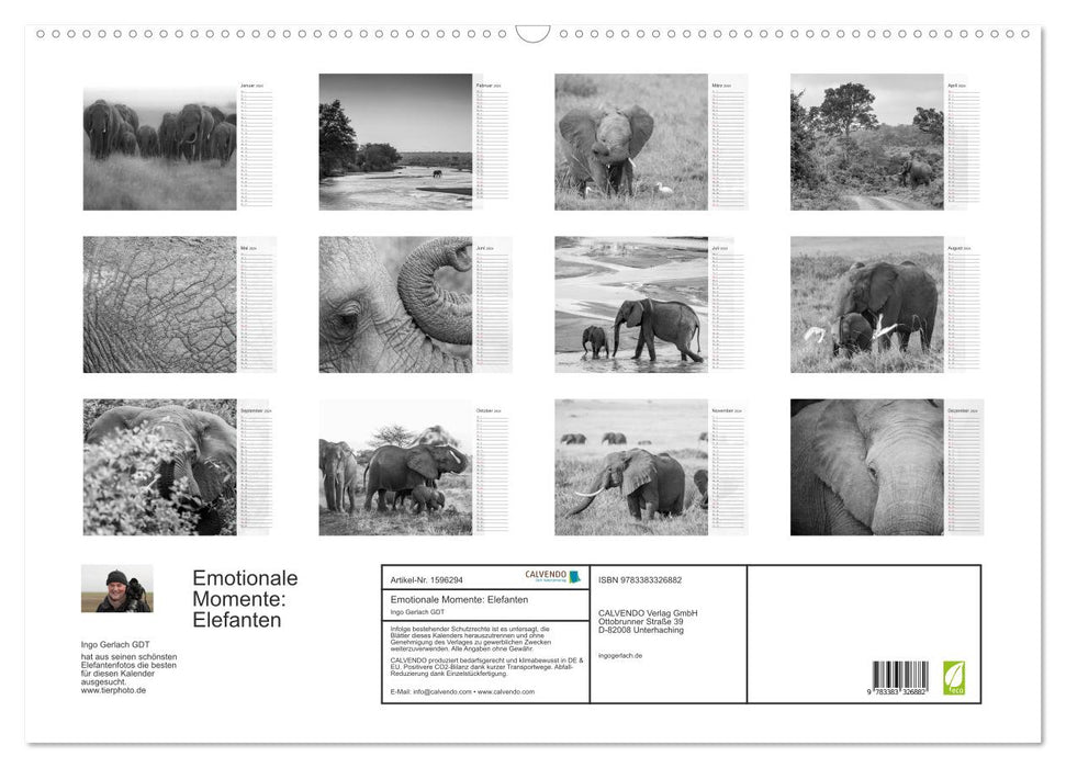 Emotional moments: elephants in black and white (CALVENDO wall calendar 2024) 
