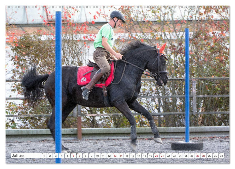 Working Equitation (CALVENDO Premium Wandkalender 2024)