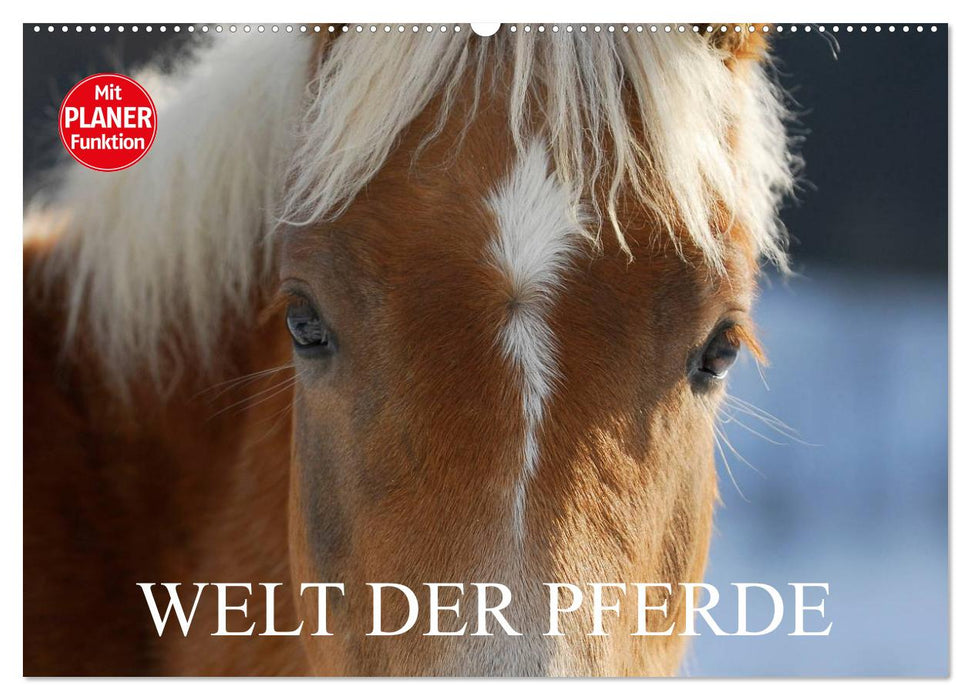 World of Horses (CALVENDO Wall Calendar 2024) 