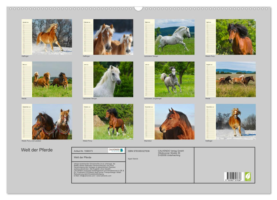 World of Horses (CALVENDO Wall Calendar 2024) 