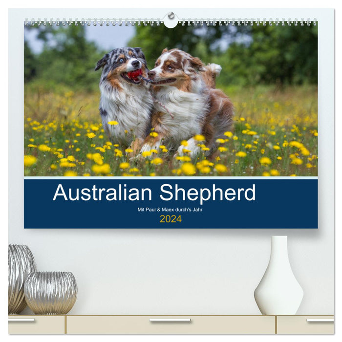 Australian Shepherd 2024 (CALVENDO Premium Wall Calendar 2024) 