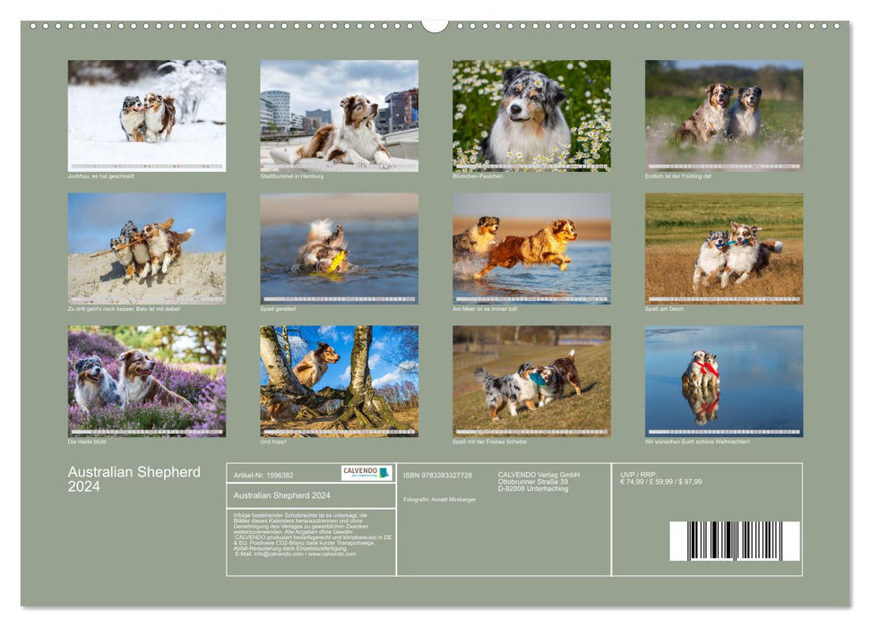 Australian Shepherd 2024 (CALVENDO Premium Wall Calendar 2024) 