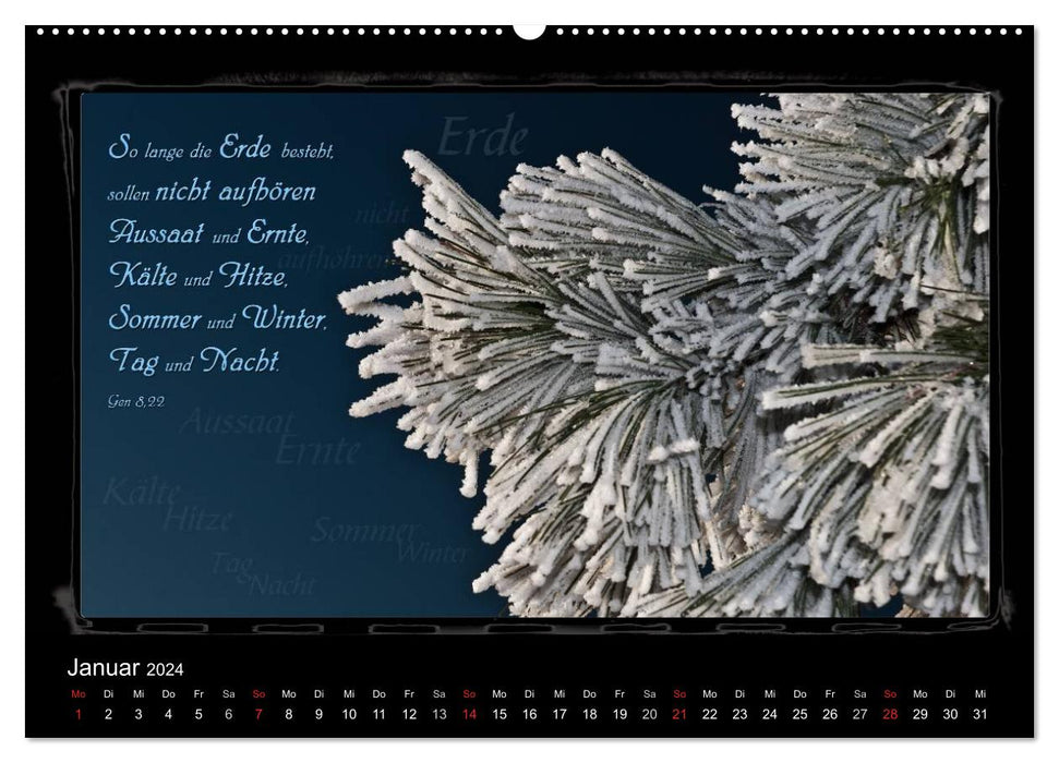 Monat für Monat ein Bibelvers (CALVENDO Premium Wandkalender 2024)