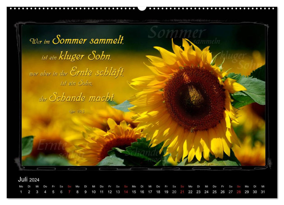Un verset biblique mois après mois (Calvendo Premium Wall Calendar 2024) 