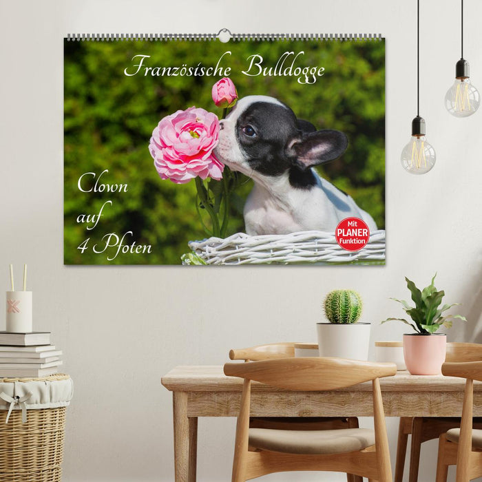 French Bulldog - Clown on 4 Paws (CALVENDO Wall Calendar 2024) 