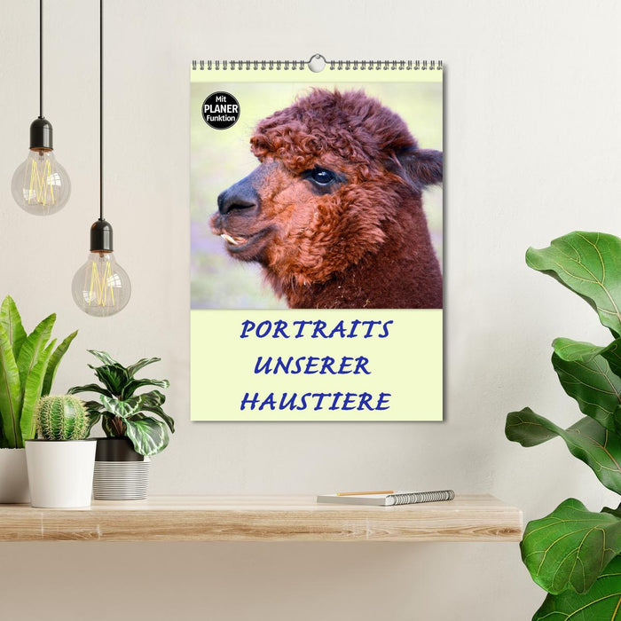 Portraits unserer Haustiere (CALVENDO Wandkalender 2024)