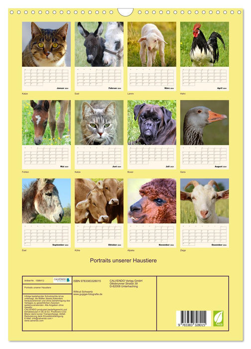 Portraits de nos animaux de compagnie (Calendrier mural CALVENDO 2024) 