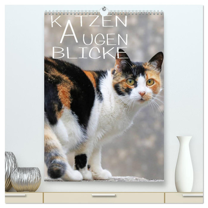 CAT'S EYES LOOKS (CALVENDO Premium Wall Calendar 2024) 