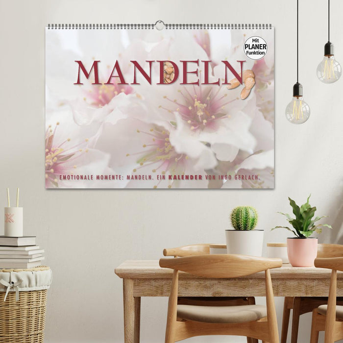 Emotionale Momente: Mandeln (CALVENDO Wandkalender 2024)