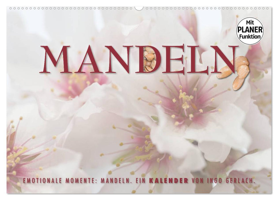 Emotionale Momente: Mandeln (CALVENDO Wandkalender 2024)