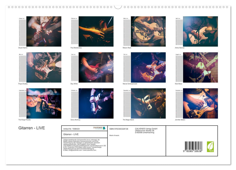 Guitars - Live (CALVENDO Premium Wall Calendar 2024) 