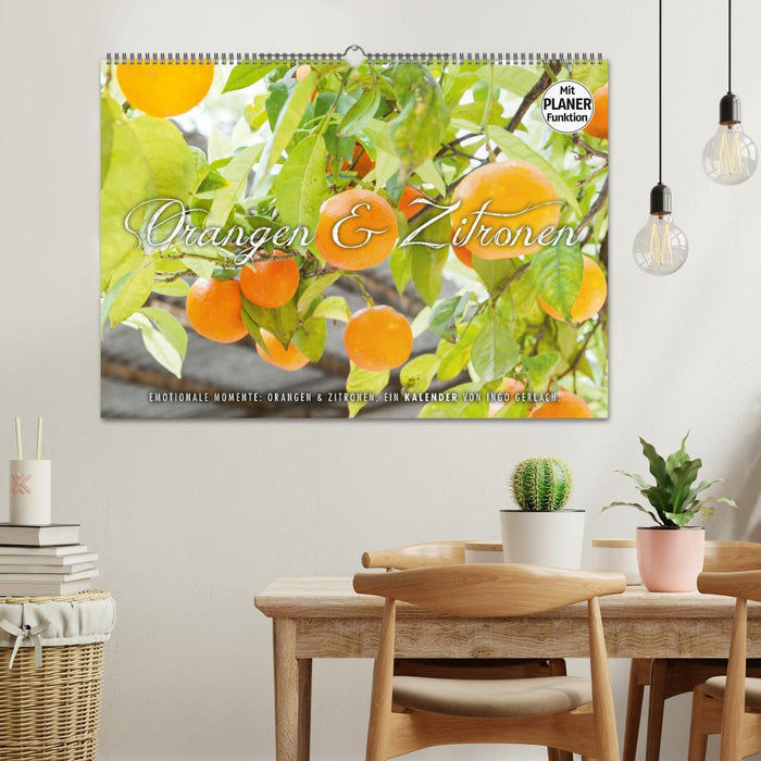 Moments d'émotion : oranges et citrons. (Calendrier mural CALVENDO 2024) 