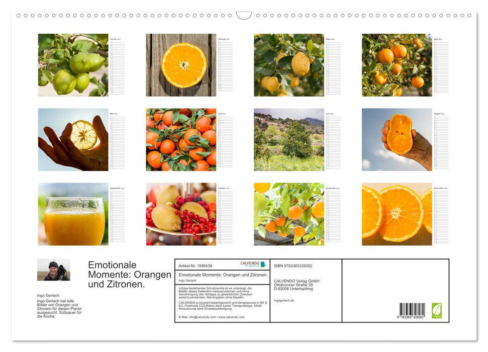 Emotionale Momente: Orangen und Zitronen. (CALVENDO Wandkalender 2024)