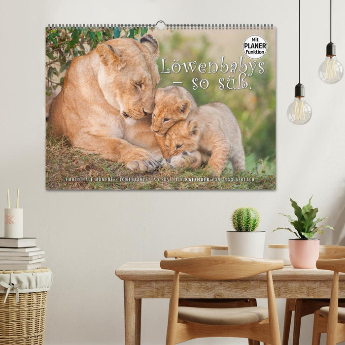 Emotional moments: lion cubs - so cute. (CALVENDO wall calendar 2024) 