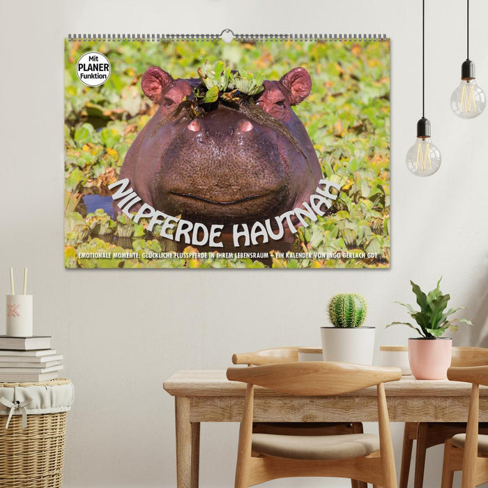 Moments d'émotion : les hippopotames de près (Calendrier mural CALVENDO 2024) 