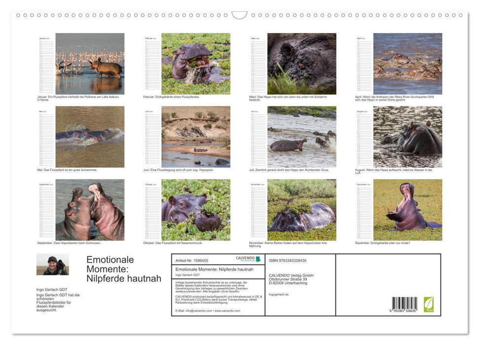 Emotional moments: hippos up close (CALVENDO wall calendar 2024) 