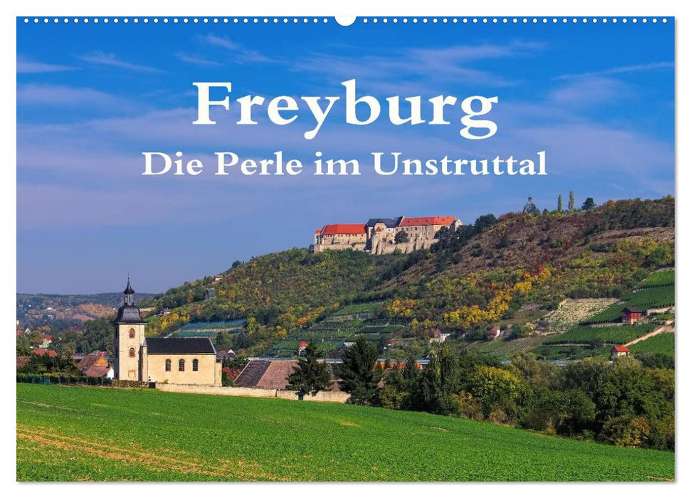 Freyburg - The pearl in the Unstruttal (CALVENDO wall calendar 2024) 