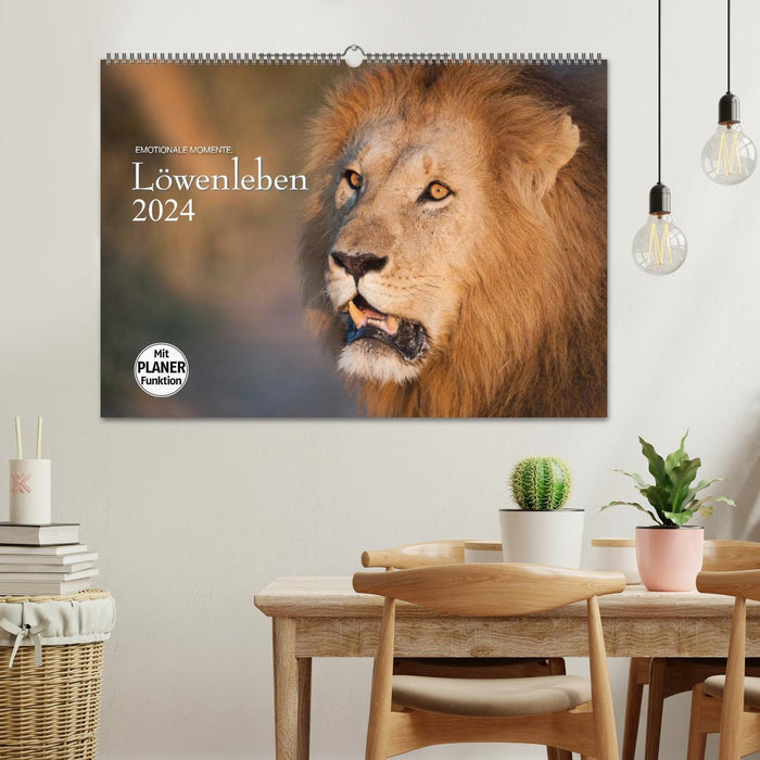 Moments d'émotion : Vie de lion (Calendrier mural CALVENDO 2024) 