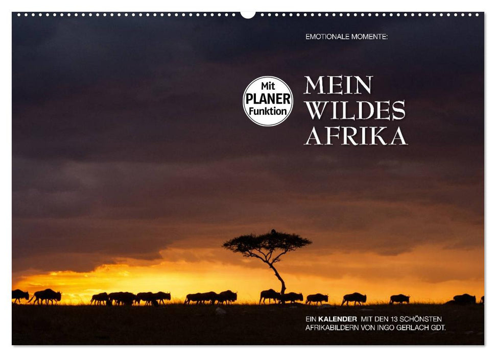 Moments d'émotion : Mon Afrique sauvage (Calendrier mural CALVENDO 2024) 