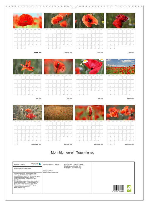 Mohnblumen-ein Traum in rot (CALVENDO Wandkalender 2024)