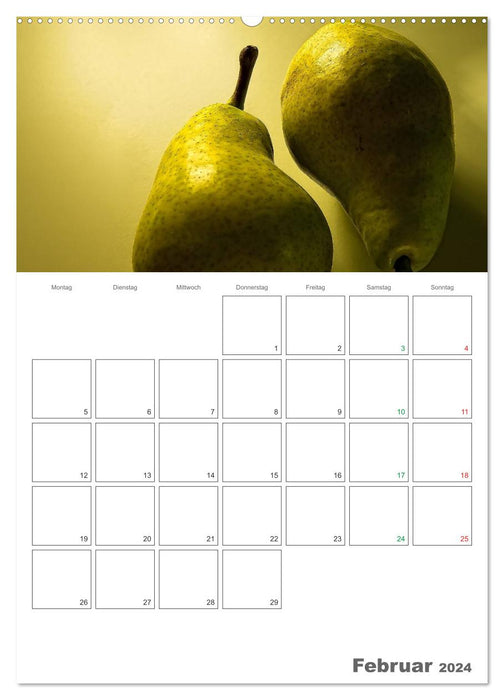 CALENDAR FOR THE KITCHEN BY LUDVIK RAJBAR (CALVENDO wall calendar 2024) 