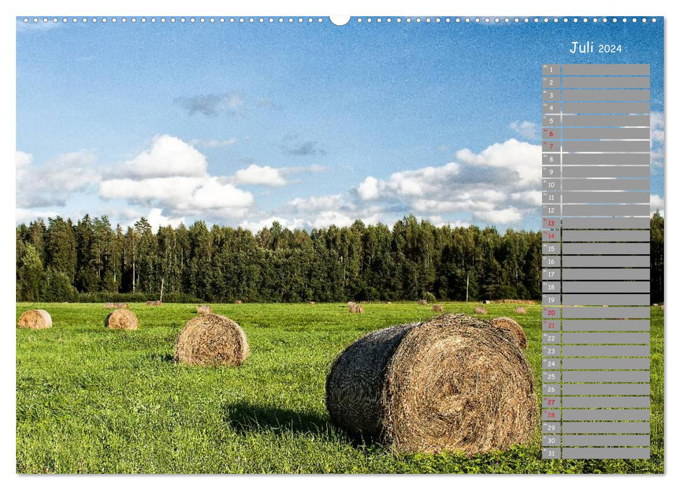 Latvia - Forays through the Central Baltics (CALVENDO Premium Wall Calendar 2024) 