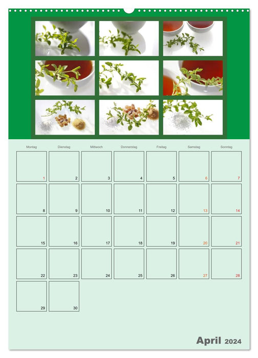 Food (CALVENDO wall calendar 2024) 