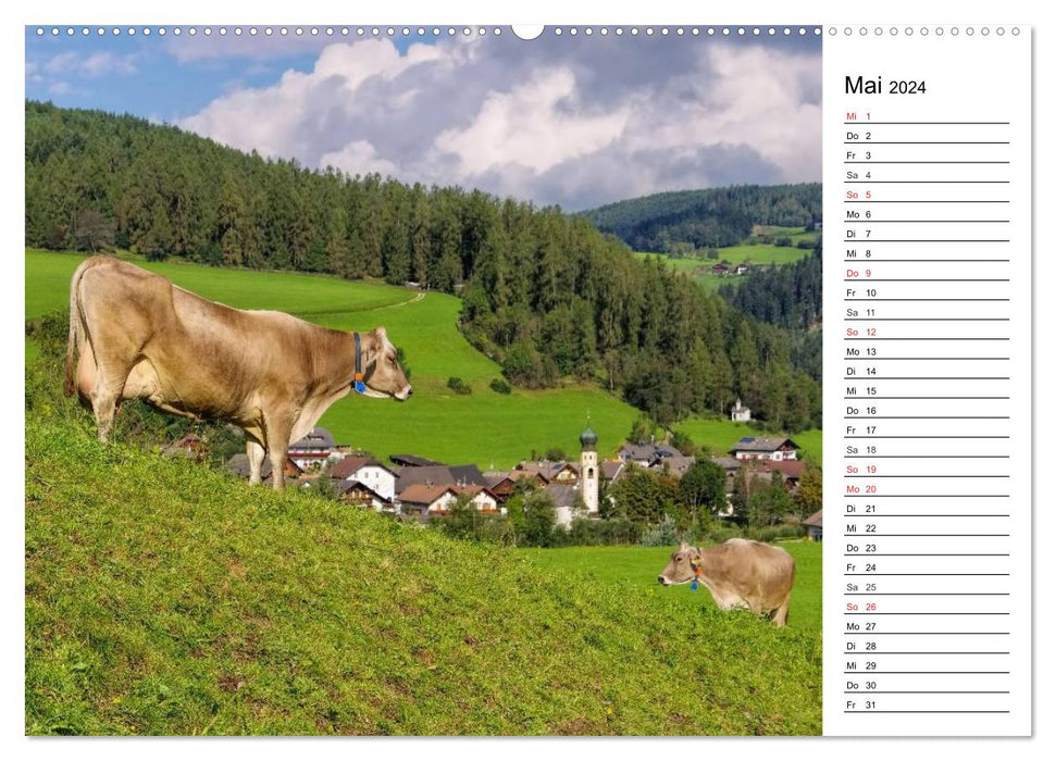 Pustertal - The green valley of South Tyrol (CALVENDO Premium Wall Calendar 2024) 