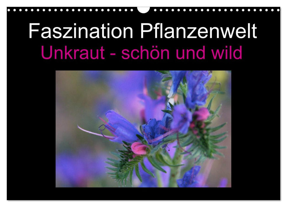 Faszination Pflanzenwelt - Unkraut, schön und wild (CALVENDO Wandkalender 2024)