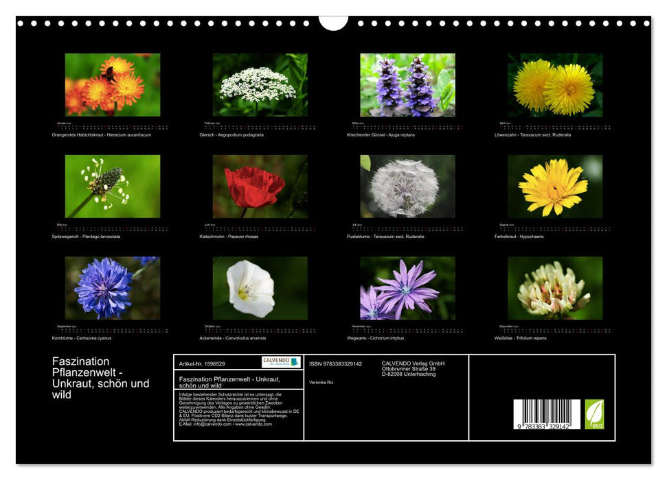 Fascination with the plant world - weeds, beautiful and wild (CALVENDO wall calendar 2024) 