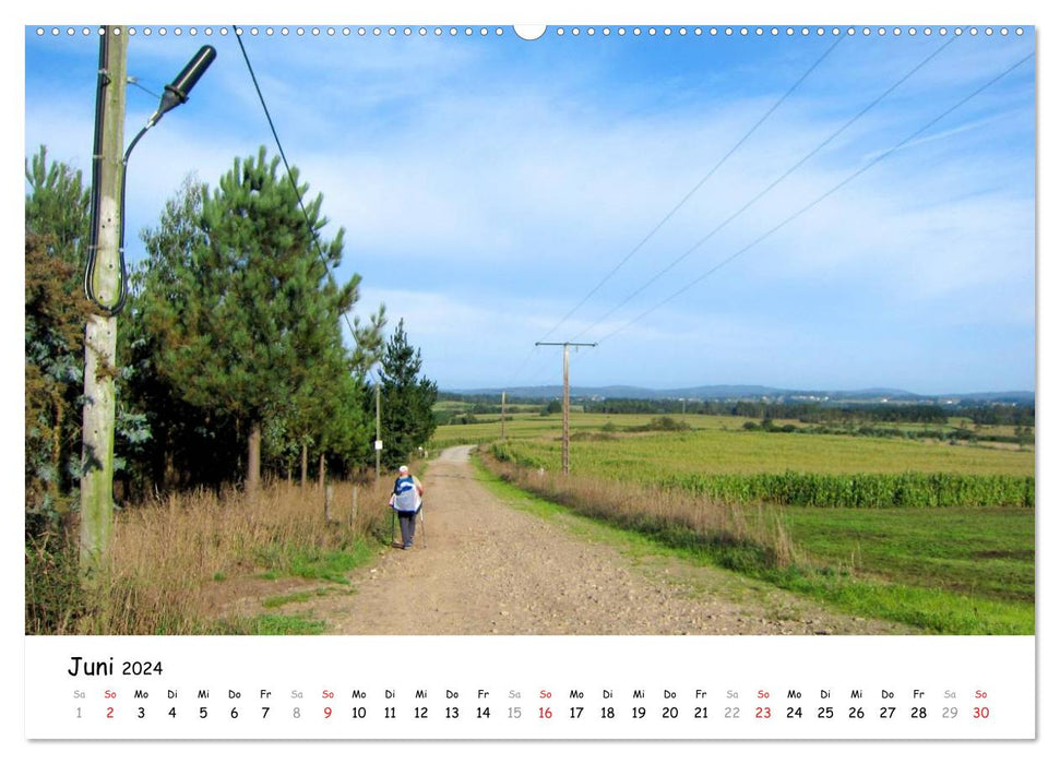 Way of St. James - Camino Finisterre (CALVENDO Premium Wall Calendar 2024) 