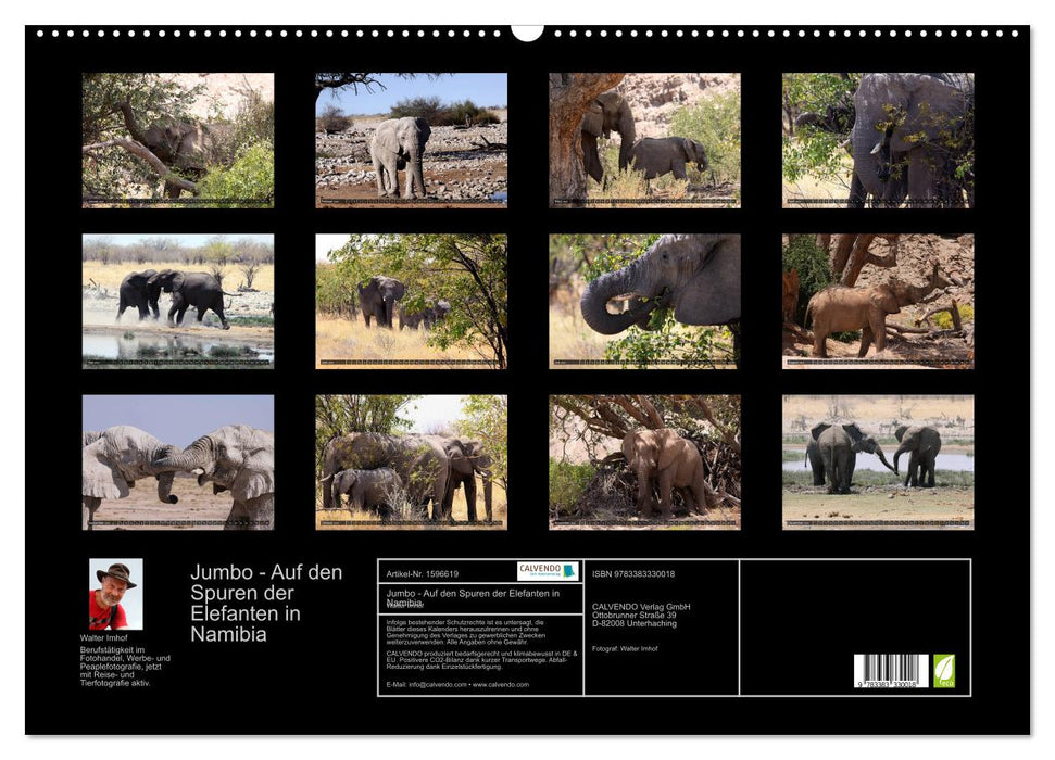 Jumbo On the trail of elephants in Namibia (CALVENDO wall calendar 2024) 