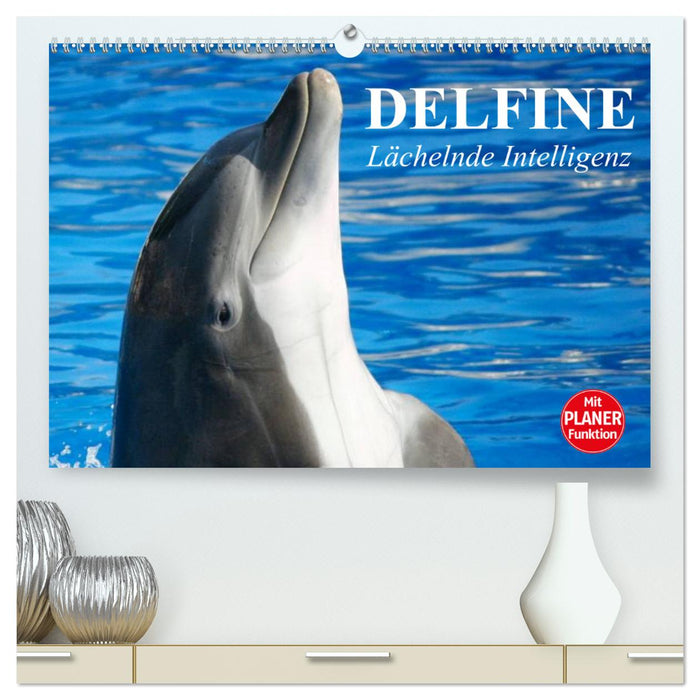 Dauphins – Intelligence souriante (Calvendo Premium Wall Calendar 2024) 