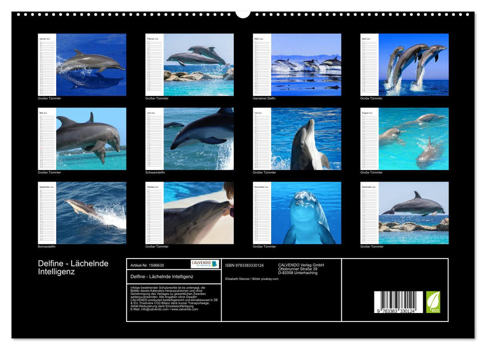 Dolphins - Smiling Intelligence (CALVENDO Premium Wall Calendar 2024) 